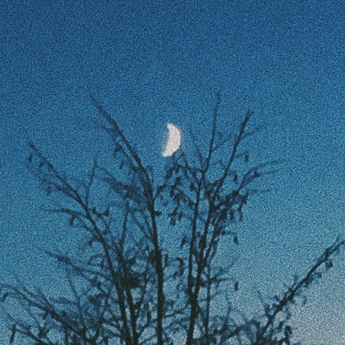 nauuda x emawk - never let you go