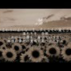 ひまわりの約束 - 秦基博（フル）