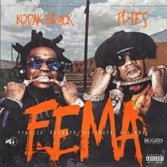 Kodak Black & Plies - FEMA