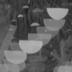 Elizio De Buzios - Tamanqueiro (Adaraya Edit)