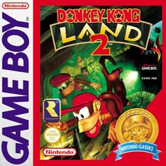 Donkey Kong Land 2 - Zinger's Revenge (Flight of the Zinger Cover)