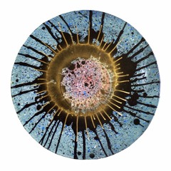 Re_Exposure- Free Of False Frames