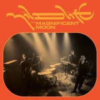 Mildlife - The Magnificent Moon