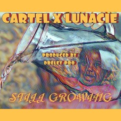 Cartel Ft Lunacie - Still Growing
