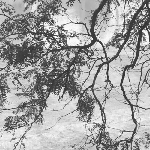 An Absolute Insufficiency Of Electricity