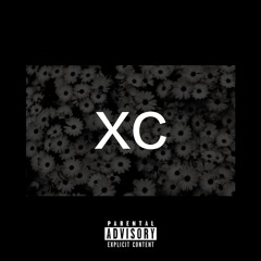 XC - REACTION