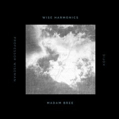 Wise Harmonics - Lord Knows (Feat. Professor Wiseman, Madam Bree & Kofie)