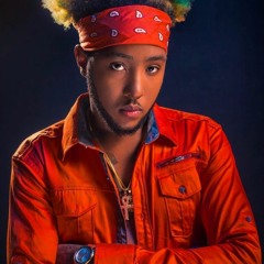 Vershon - No Worries