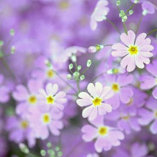 Week 4 of Oct.2017_Recommend Set (Various artists)