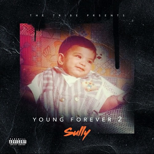 Runnin' Up A Cheque - Sully(Prod.Homage)