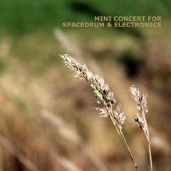 Steve Bender & Elshish - Spacedrum & Electronics