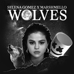 Wolves Selena gomez ft. Marshmelo [Lectra Remix]