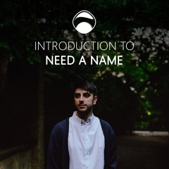Introduction to "Need a Name" [Downtempo / Electronica]