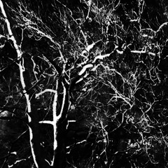 WithUntitled (div#rsityMiunderst)