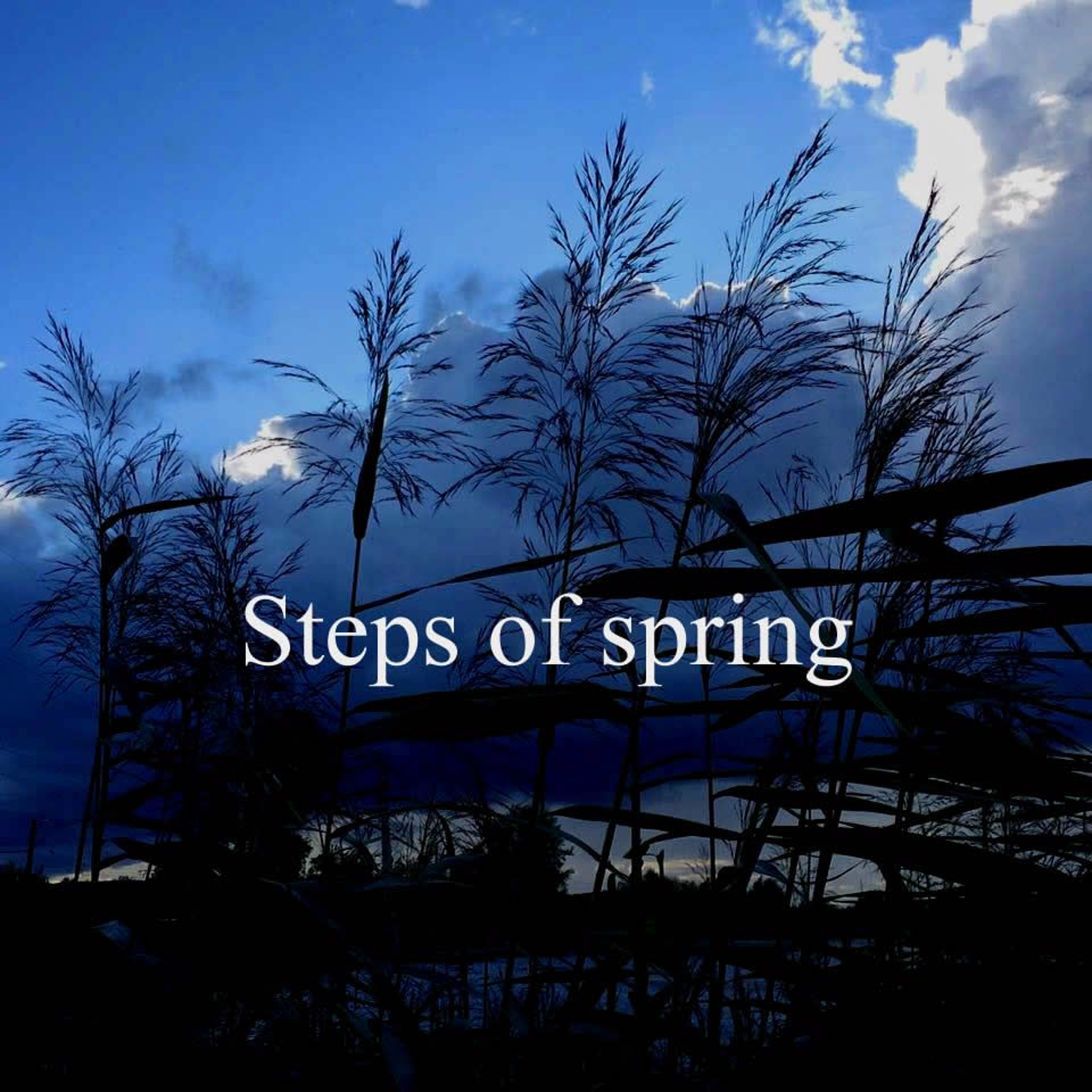 Steps of spring episode artwork