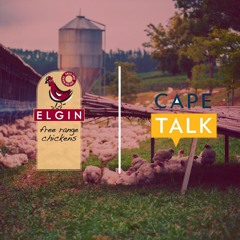Elgin Free Range Chickens Cape Talk Ad