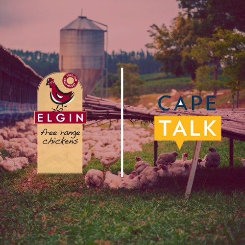 Elgin Free Range Chickens Cape Talk Ad