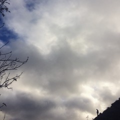 Young, Dumb, and Broke (cover by TheKidRy)