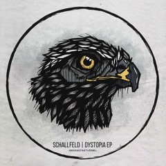 [PREMIERE] Schallfeld - Fearful Symmetry (Original Mix)