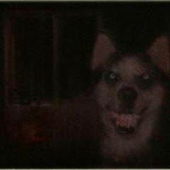 Werewolf Bar Mitzvah
