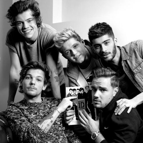 One Direction: SOLO Version