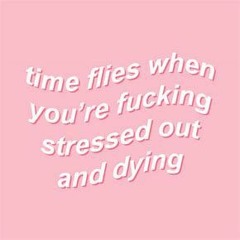 Chill shit🐝