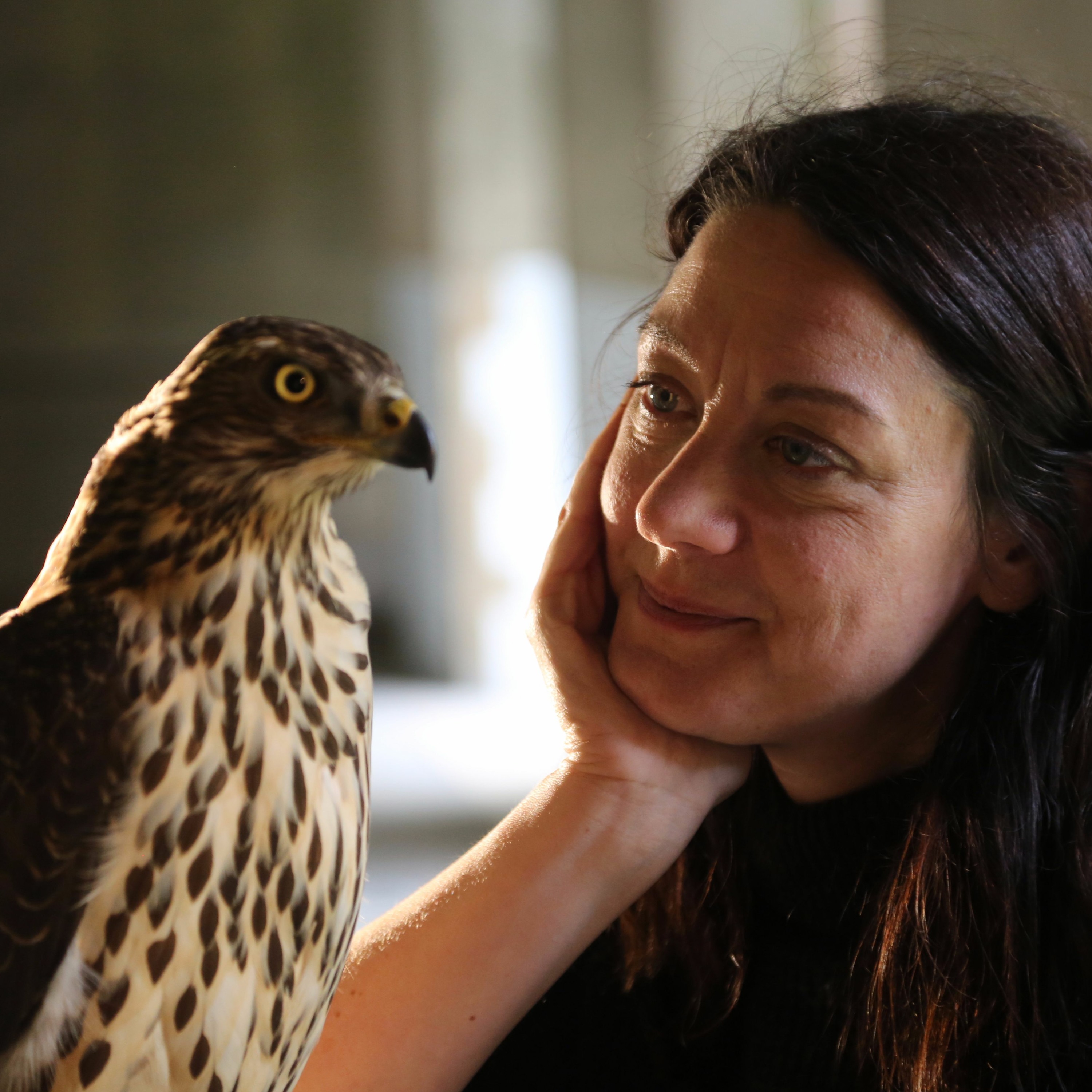 Author Helen Macdonald on ”H is for Hawk: A New Chapter”