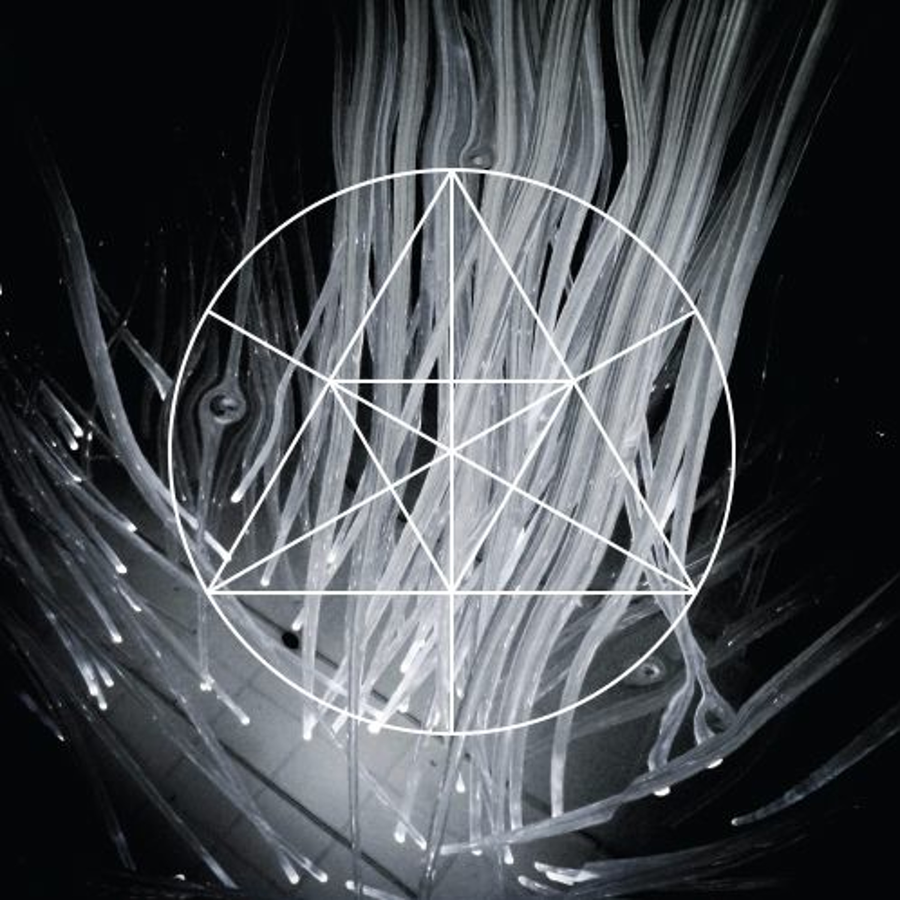 Mysteries of the Deep