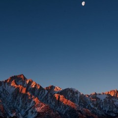 October Influences #14