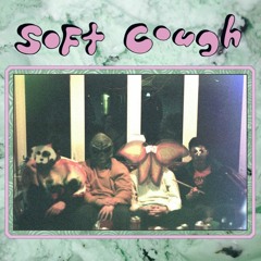 soft cough - mouthbreather
