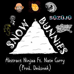 Snow Bunnies Ft. Nate Curry (Prod. Dedsnek)