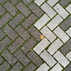 Geuzenveld/Slotermeer