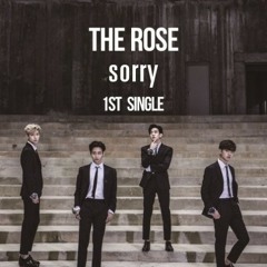 THE ROSE - Sorry