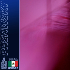 PHSNWSKY - Dryfield (SHE Spells Doom Remix)