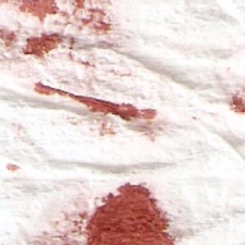 Stream Here Is Your Proof By Dead Children Project Listen Online For