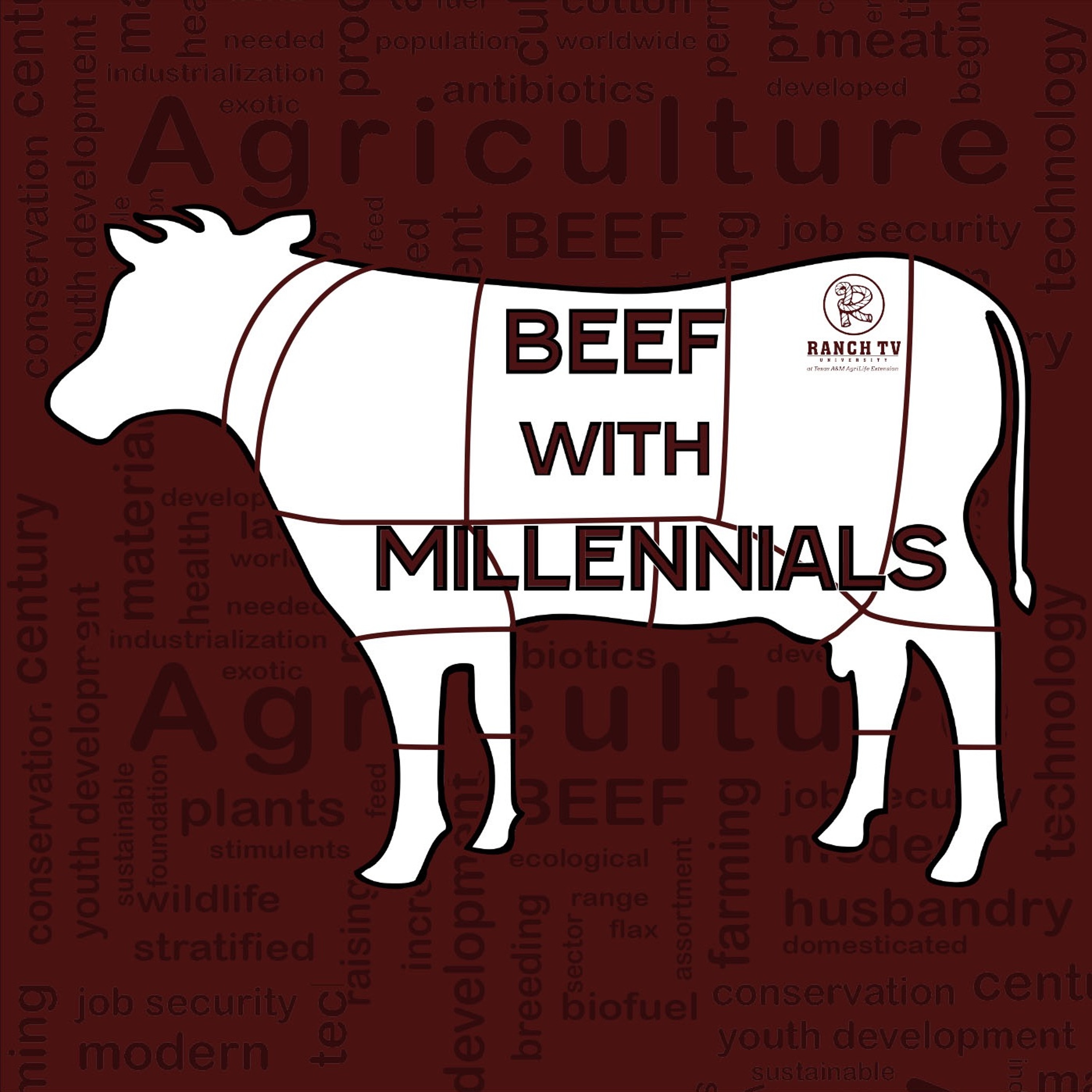 Beef With Millennials episode artwork
