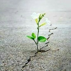 ذا الحب سلم ما فيه ندم ..❤❤