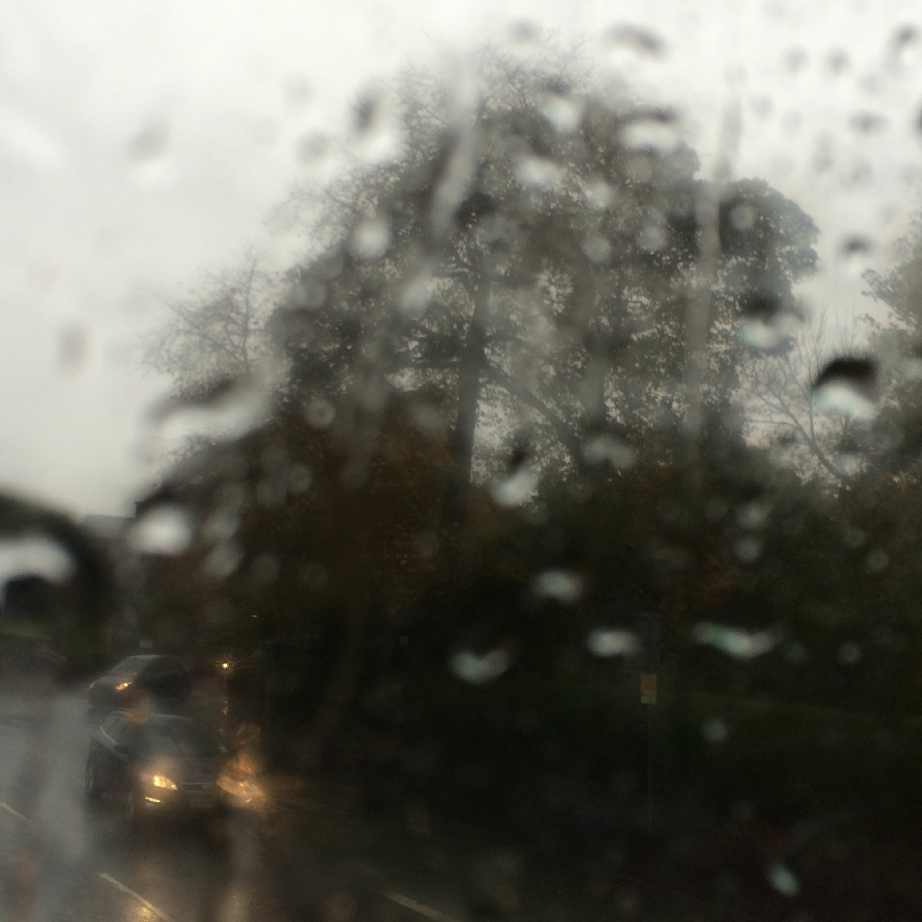 Raindrops Keep Fallin' on my Head episode artwork