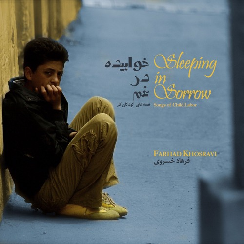 Sleeping in Sorrow  |  خوابیده در غم