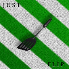 Just Flip Feat. Shane