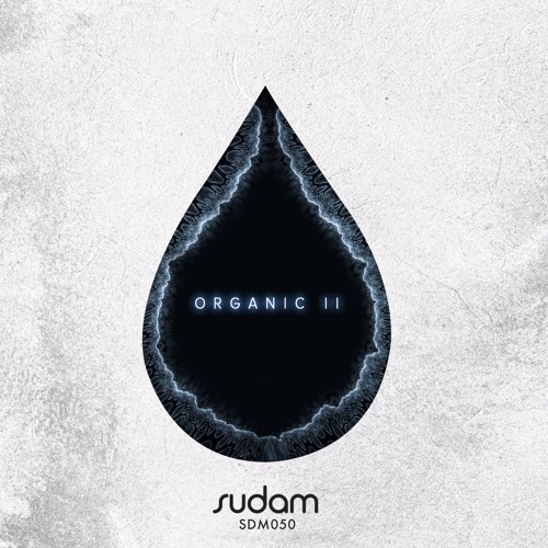 Crudito Sava, Walsin - Carga Fisica (Original Mix) [Sudam Recordings]