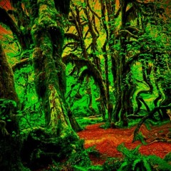 Organic Frequencies