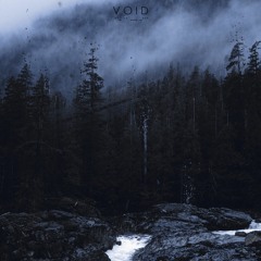 Void