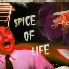 Spice Of Life