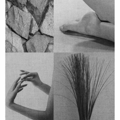 Venetian Roses - Empatica Embrace