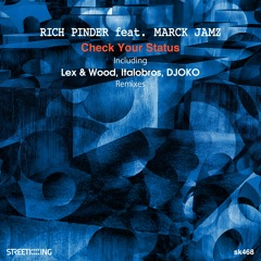 01. Check Your Status (Alternative Mix)