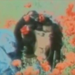 FINAL BABYLON