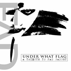 Fireside Favourite (Fad Gadget cover)