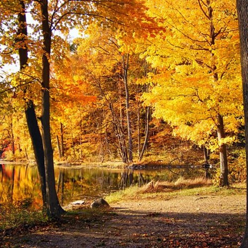 Chieu Dong - Nguyen Khang