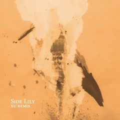 [preview] Side Lily (Xu remix)